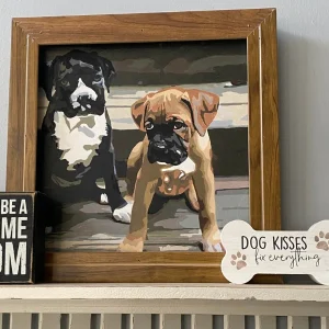 custom paint by numbers