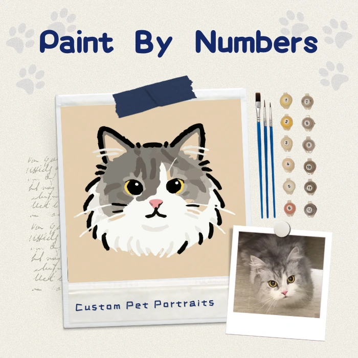 Personalized paint by numbers for cats, featuring a grey and white cat illustration with acrylic paint set.