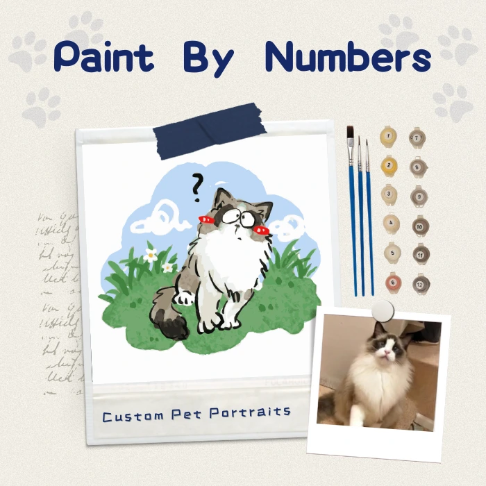 Custom paint by numbers kit for Ragdoll cat, DIY pet portrait from photo with brushes and paints.