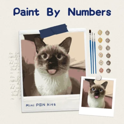 Custom mini DIY canvas art kit featuring a funny Siamese cat portrait, showing original photo versus painted result.