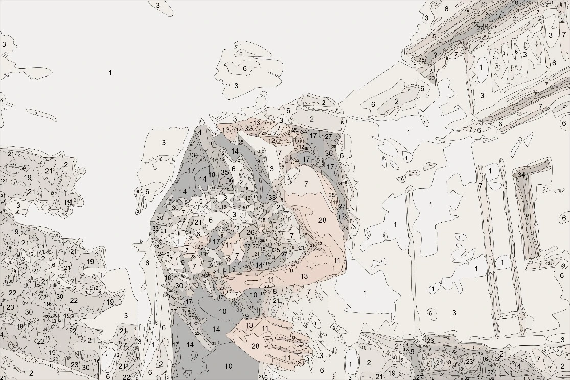 Detailed numbered line art canvas for a custom paint by numbers kit, showing intricate mapping for DIY painting.