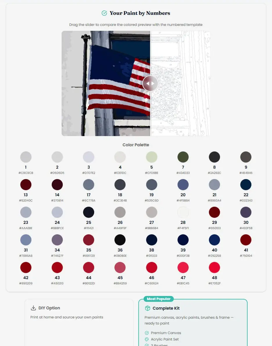 Davincified interface showing the choice between a print-at-home DIY option and purchasing a complete premium paint by numbers kit.