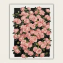Finished 16x20 dark floral paint by numbers canvas featuring modern pink roses on a black background.