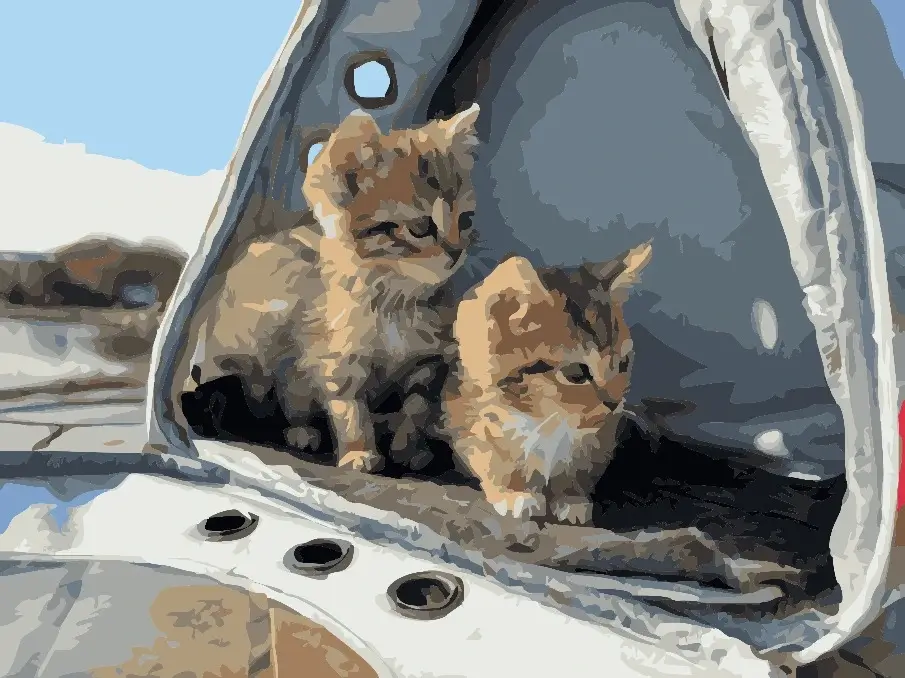 Finished custom paint by number artwork of two kittens, showcasing vibrant colors and accurate details from the original photo.