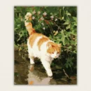 Finished 16x20 ginger cat paint by numbers canvas showing an orange tabby walking in water with green bushes.