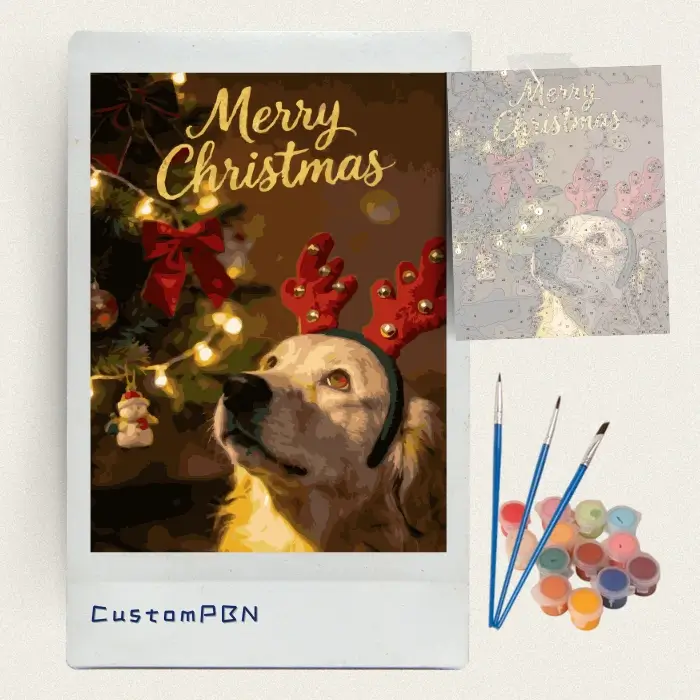 Complete paint by numbers kit for dog lovers including a reference sheet, 3 professional brushes, and non-toxic paints, shipped from a US warehouse.