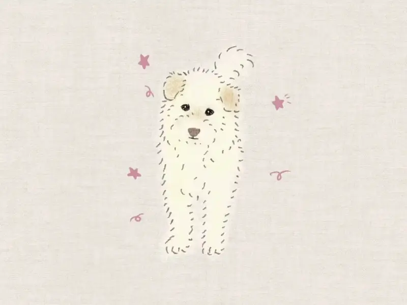 Hand-drawn digital portrait of a fluffy white dog surrounded by pink stars and playful doodles.