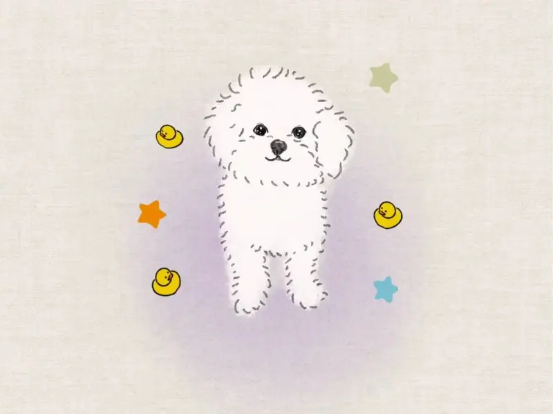 Cute hand-drawn white dog portrait surrounded by tiny yellow ducks and colorful stars.