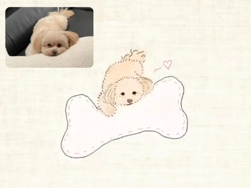 Before-and-after digital pet portrait of a small cream-colored dog resting behind a large white bone illustration.