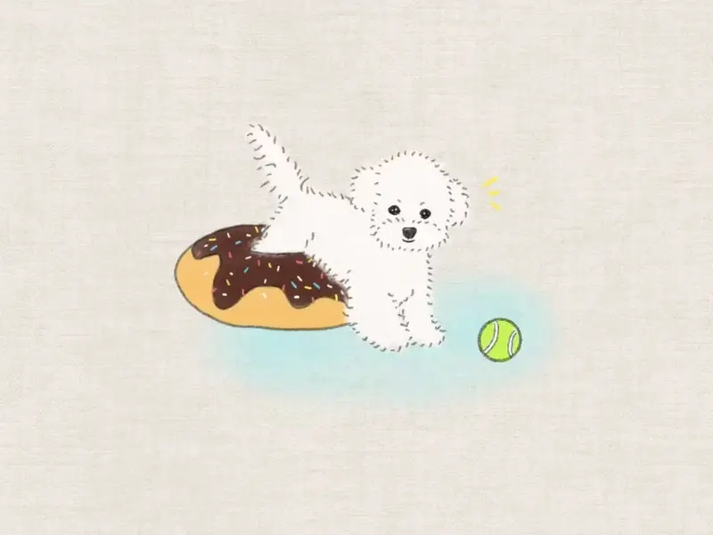 Cute hand-drawn white dog portrait with a chocolate donut and green tennis ball on a soft blue background.