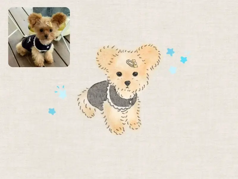 Before-and-after custom pet portrait of a small Yorkshire terrier wearing a black outfit, illustrated with blue stars.