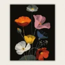 Six colourful poppies in white orange pink yellow blue and red on black paint by numbers finished canvas