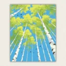 Looking up through a birch forest into a bright blue sky with yellow green leaves paint by numbers finished canvas