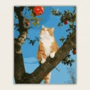 Ginger and white cat sitting in a pomegranate tree looking up at the fruit paint by numbers finished canvas