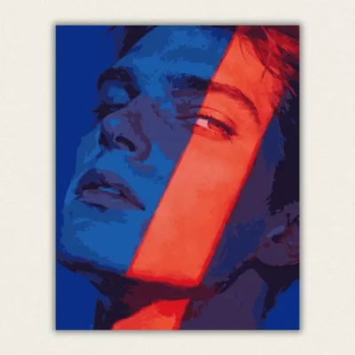 Stylized portrait of a young man with a band of orange light across his face paint by numbers finished canvas