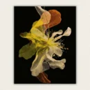 Translucent layered flower petals in gold green and orange on black paint by numbers finished canvas