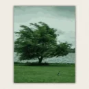 Wind blown green tree beside a grey lake with a rabbit on the lawn paint by numbers finished canvas