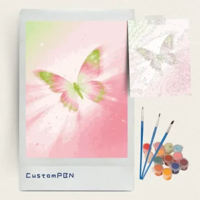 Gossamer butterfly paint by numbers kit with brushes, paints and numbered canvas